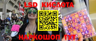 крисы Шебекино