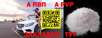 крисы Шебекино