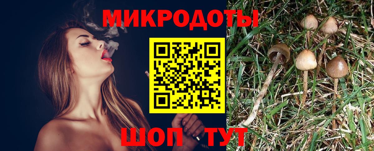 Псилоцибиновые грибы Magic Shrooms Северобайкальск