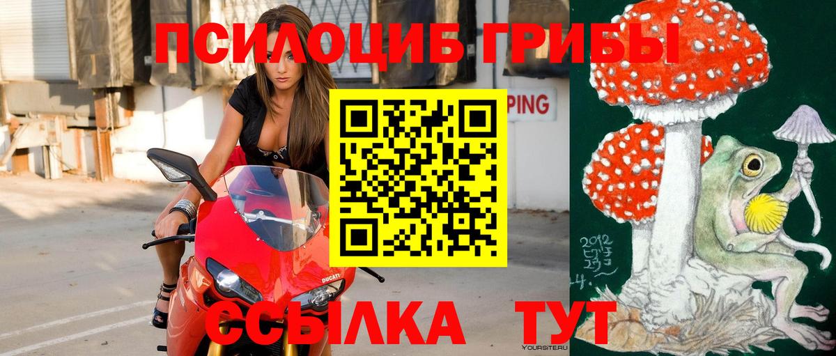 Северобайкальск  Псилоцибиновые грибы прущие грибы  Вход с VPN 